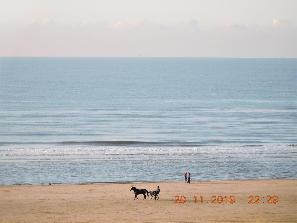 Strandhuis 海边的艾格蒙特 外观 照片